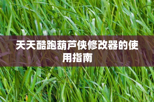 天天酷跑葫芦侠修改器的使用指南