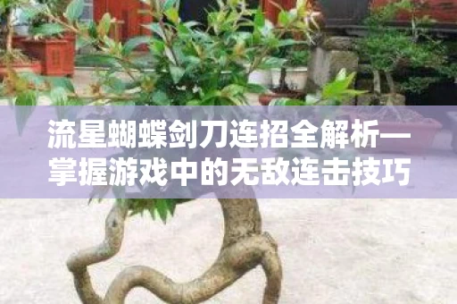 掌握游戏中的无敌连击技巧图片