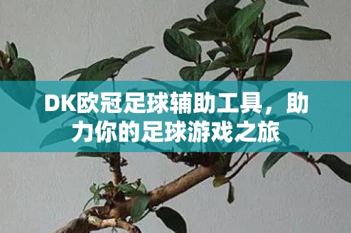 DK欧冠足球辅助工具，助力你的足球游戏之旅