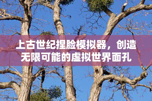 上古世纪捏脸模拟器，创造无限可能的虚拟世界面孔