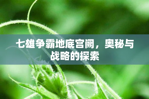 七雄争霸地底宫阙，奥秘与战略的探索
