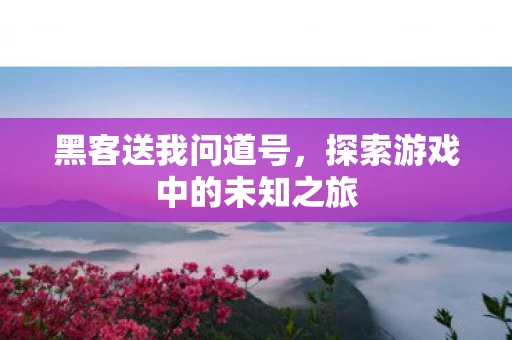 黑客送我问道号，探索游戏中的未知之旅
