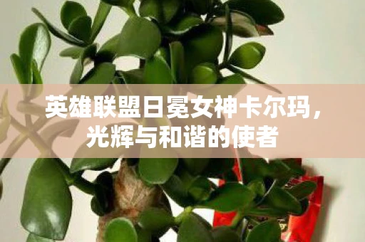 英雄联盟日冕女神卡尔玛，光辉与和谐的使者