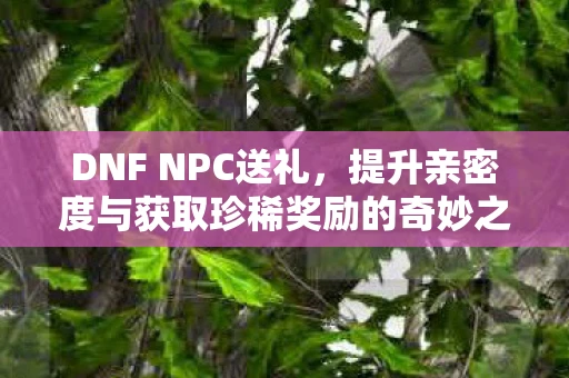 DNF NPC送礼，提升亲密度与获取珍稀奖励的奇妙之旅