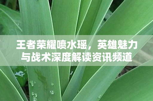 王者荣耀喷水瑶，英雄魅力与战术深度解读资讯频道