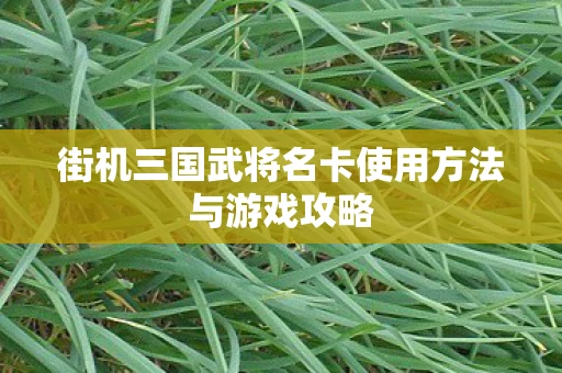 街机三国武将名卡使用方法与游戏攻略