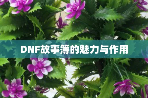 DNF故事簿的魅力与作用