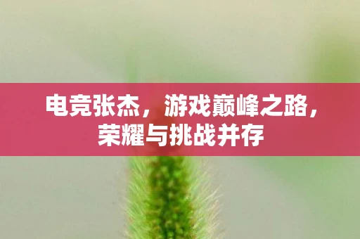 电竞张杰，游戏巅峰之路，荣耀与挑战并存