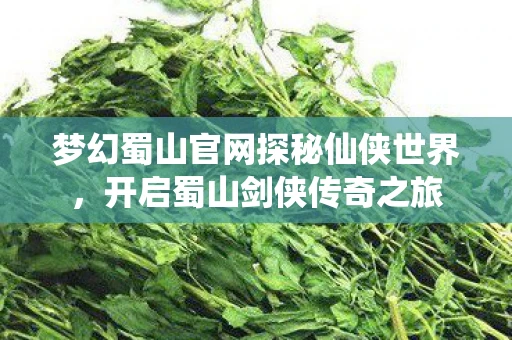 梦幻蜀山官网探秘仙侠世界，开启蜀山剑侠传奇之旅