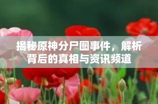 揭秘原神分尸图事件，解析背后的真相与资讯频道