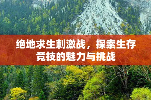 绝地求生刺激战，探索生存竞技的魅力与挑战