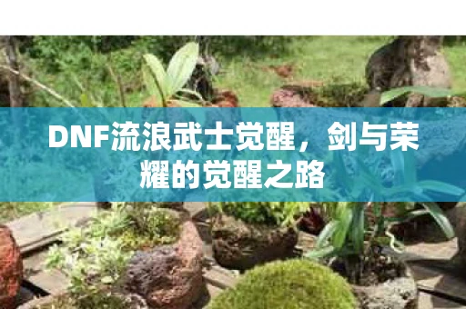 DNF流浪武士觉醒，剑与荣耀的觉醒之路