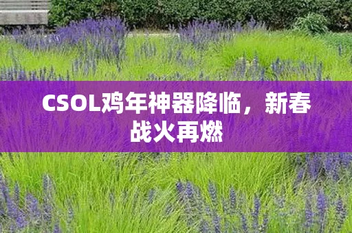 CSOL鸡年神器降临，新春战火再燃