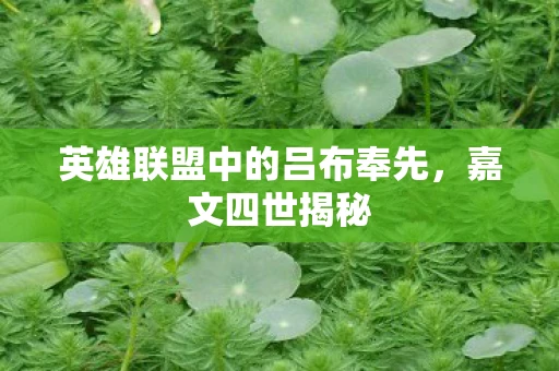 英雄联盟中的吕布奉先，嘉文四世揭秘