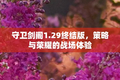 守卫剑阁1.29终结版，策略与荣耀的战场体验