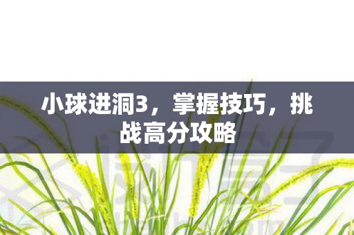 小球进洞3，掌握技巧，挑战高分攻略