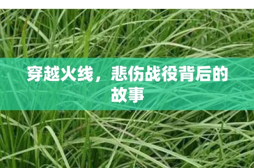 穿越火线，悲伤战役背后的故事