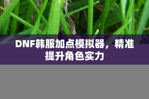 DNF韩服加点模拟器，精准提升角色实力