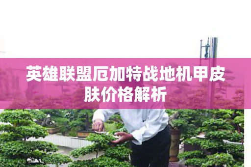 英雄联盟厄加特战地机甲皮肤价格解析