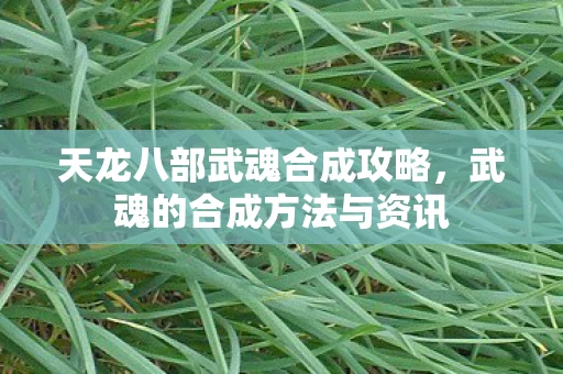 天龙八部武魂合成攻略，武魂的合成方法与资讯