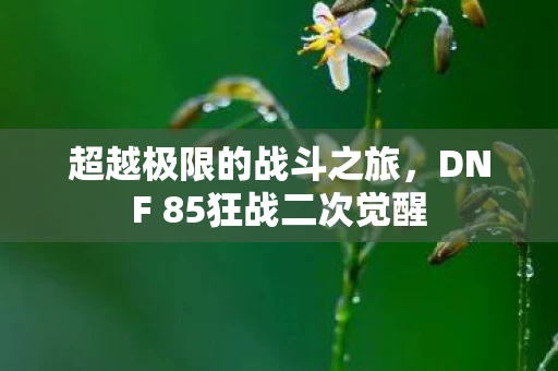 超越极限的战斗之旅，DNF 85狂战二次觉醒