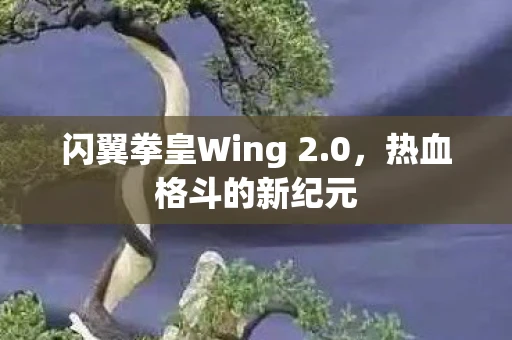 闪翼拳皇Wing 2.0，热血格斗的新纪元