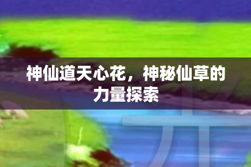 神仙道天心花，神秘仙草的力量探索