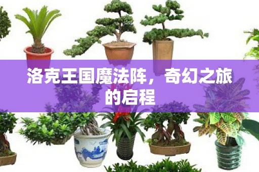 洛克王国魔法阵，奇幻之旅的启程