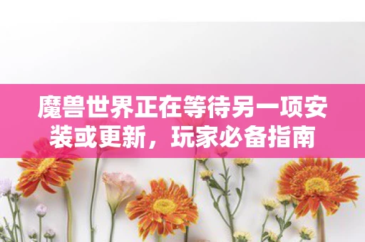 魔兽世界正在等待另一项安装或更新，玩家必备指南