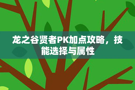 龙之谷贤者PK加点攻略，技能选择与属性