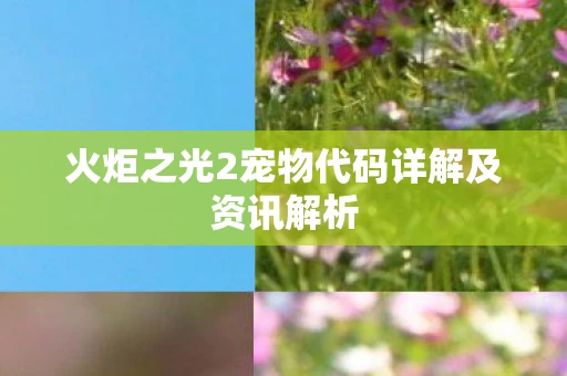 火炬之光2宠物代码详解及资讯解析
