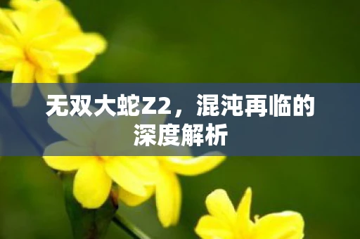 无双大蛇Z2，混沌再临的深度解析