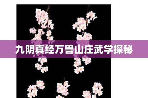 九阴真经万兽山庄武学探秘