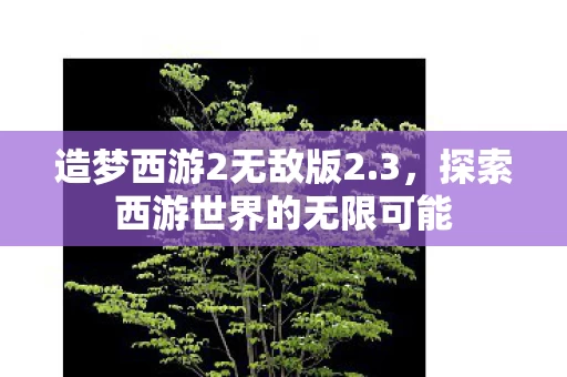 探索西游世界的无限可能图片