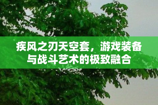 疾风之刃天空套，游戏装备与战斗艺术的极致融合