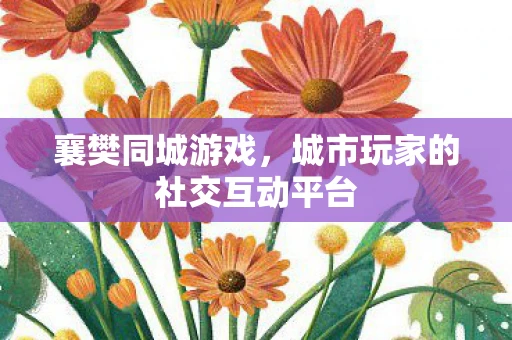 襄樊同城游戏，城市玩家的社交互动平台