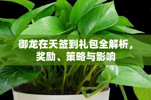 御龙在天签到礼包全解析，奖励、策略与影响