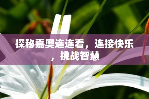 探秘嘉奥连连看，连接快乐，挑战智慧