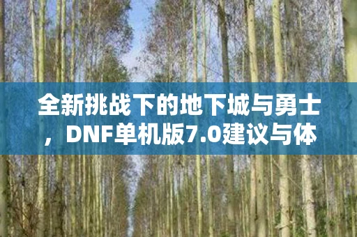 全新挑战下的地下城与勇士，DNF单机版7.0建议与体验