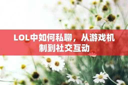 LOL中如何私聊，从游戏机制到社交互动