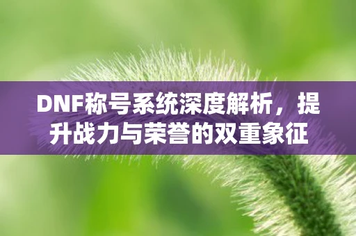 DNF称号系统深度解析，提升战力与荣誉的双重象征