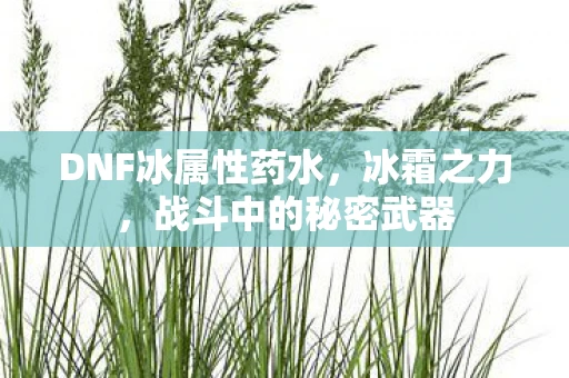 DNF冰属性药水，冰霜之力，战斗中的秘密武器