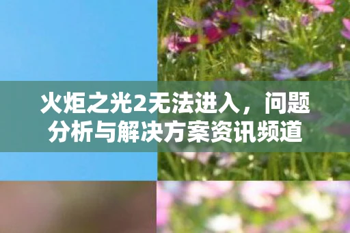 火炬之光2无法进入，问题分析与解决方案资讯频道