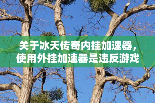 使用外挂加速器是违反游戏规则的行为图片