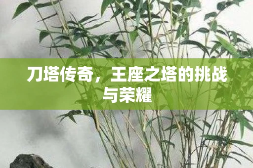 刀塔传奇，王座之塔的挑战与荣耀