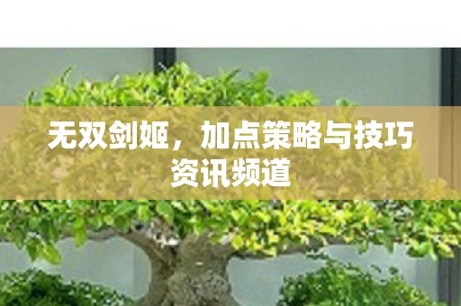 无双剑姬，加点策略与技巧资讯频道