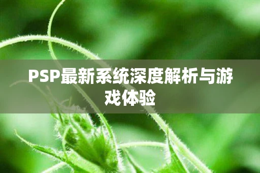 PSP最新系统深度解析与游戏体验