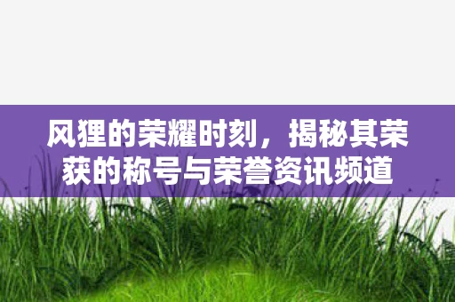 揭秘其荣获的称号与荣誉资讯频道图片