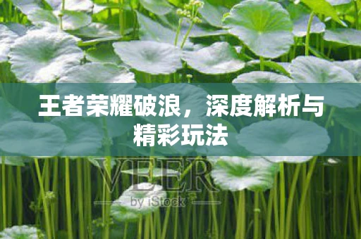 王者荣耀破浪，深度解析与精彩玩法