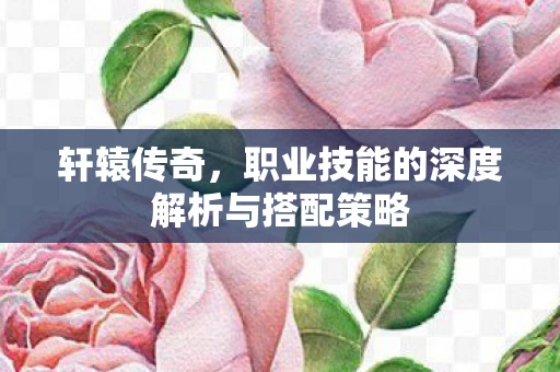 轩辕传奇，职业技能的深度解析与搭配策略